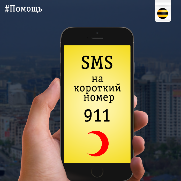 Beeline запускает благотворительную SMS-акцию в помощь пострадавшим от селя